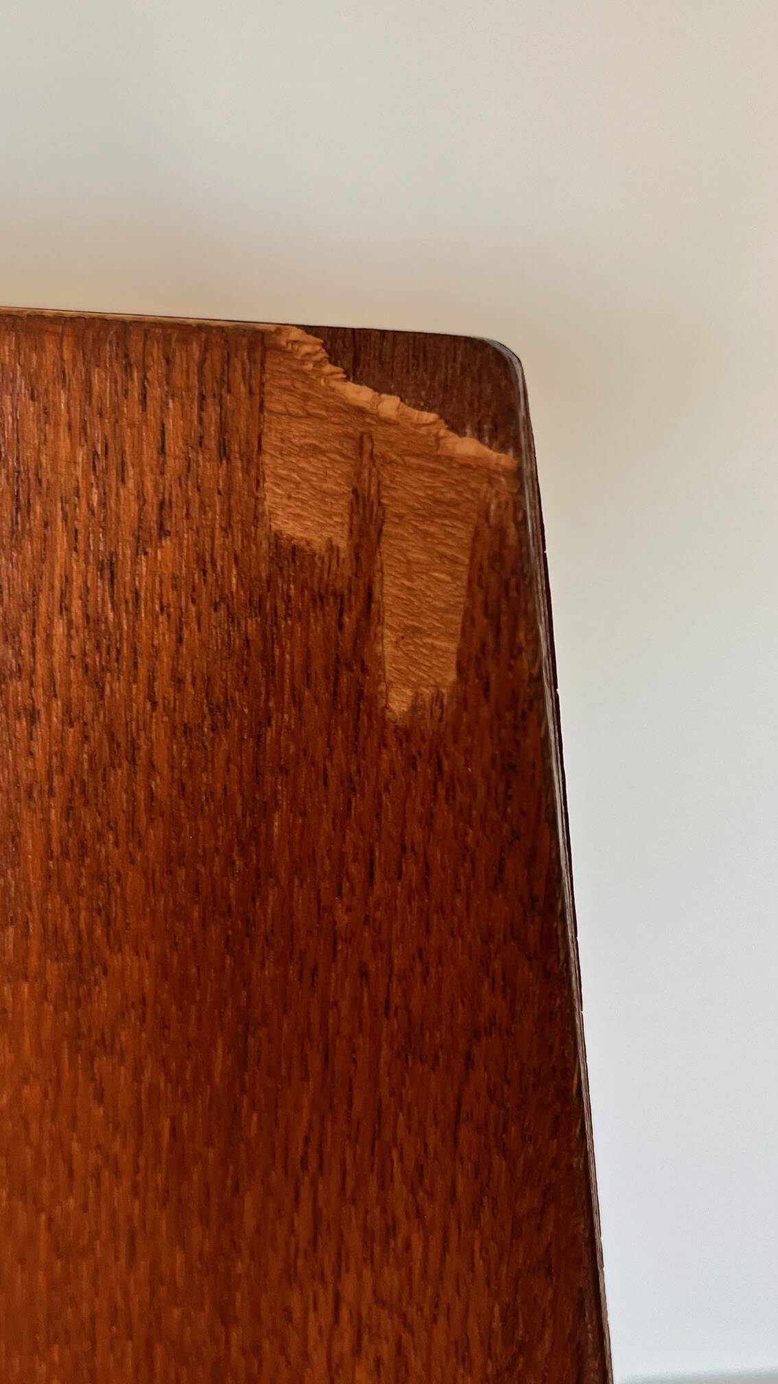 "Medea" chairs by Vittorio Nobili 1965