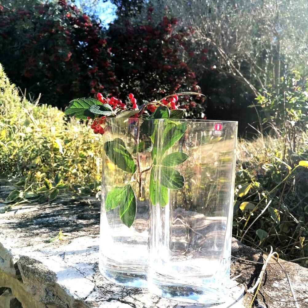 Vase Littala Finland design