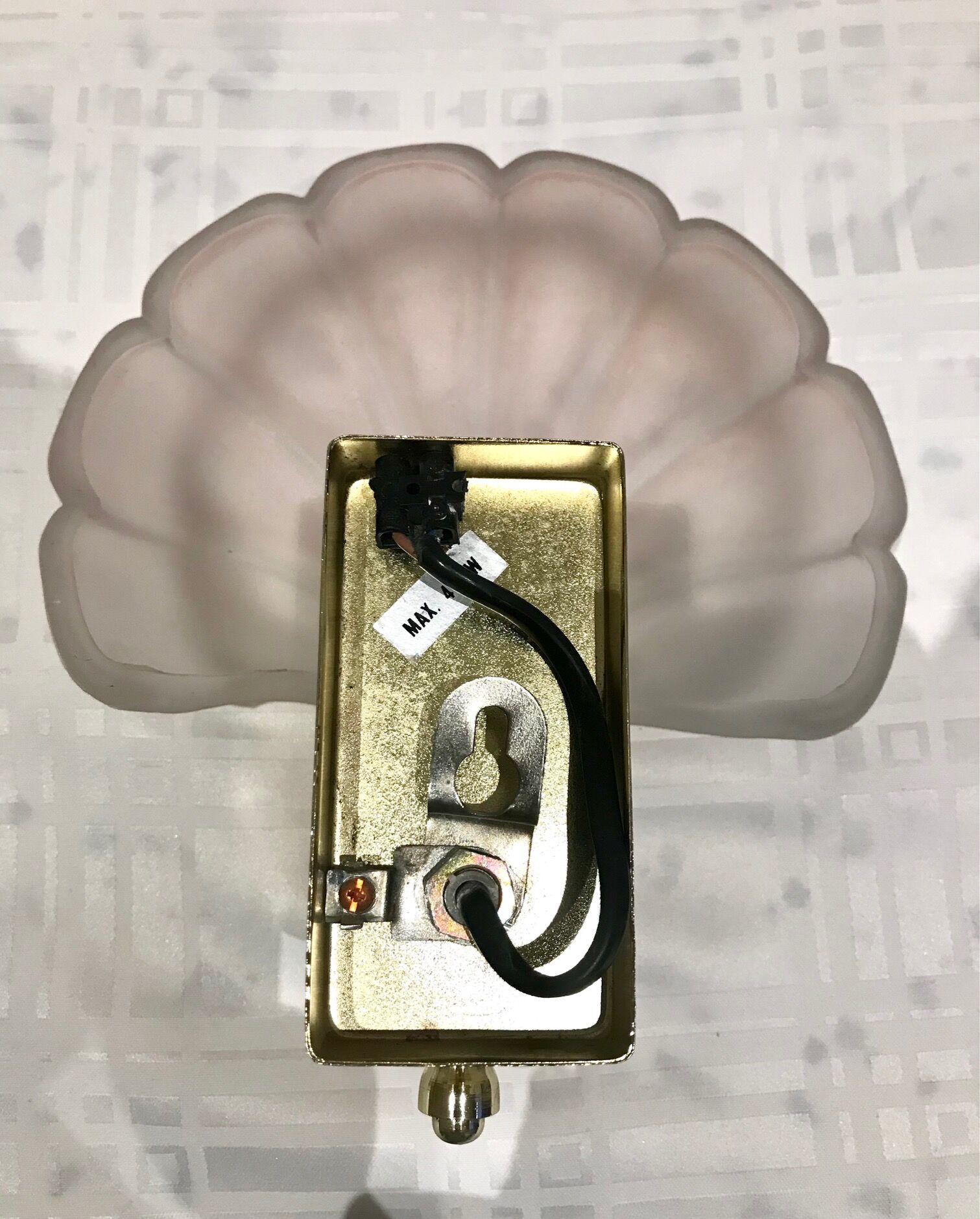 Pair of shell sconces