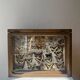 Vitrine / Collection de papillons anciens - 62 papillons