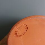 Pitcher Griffi Corsica Terraghja Corsica