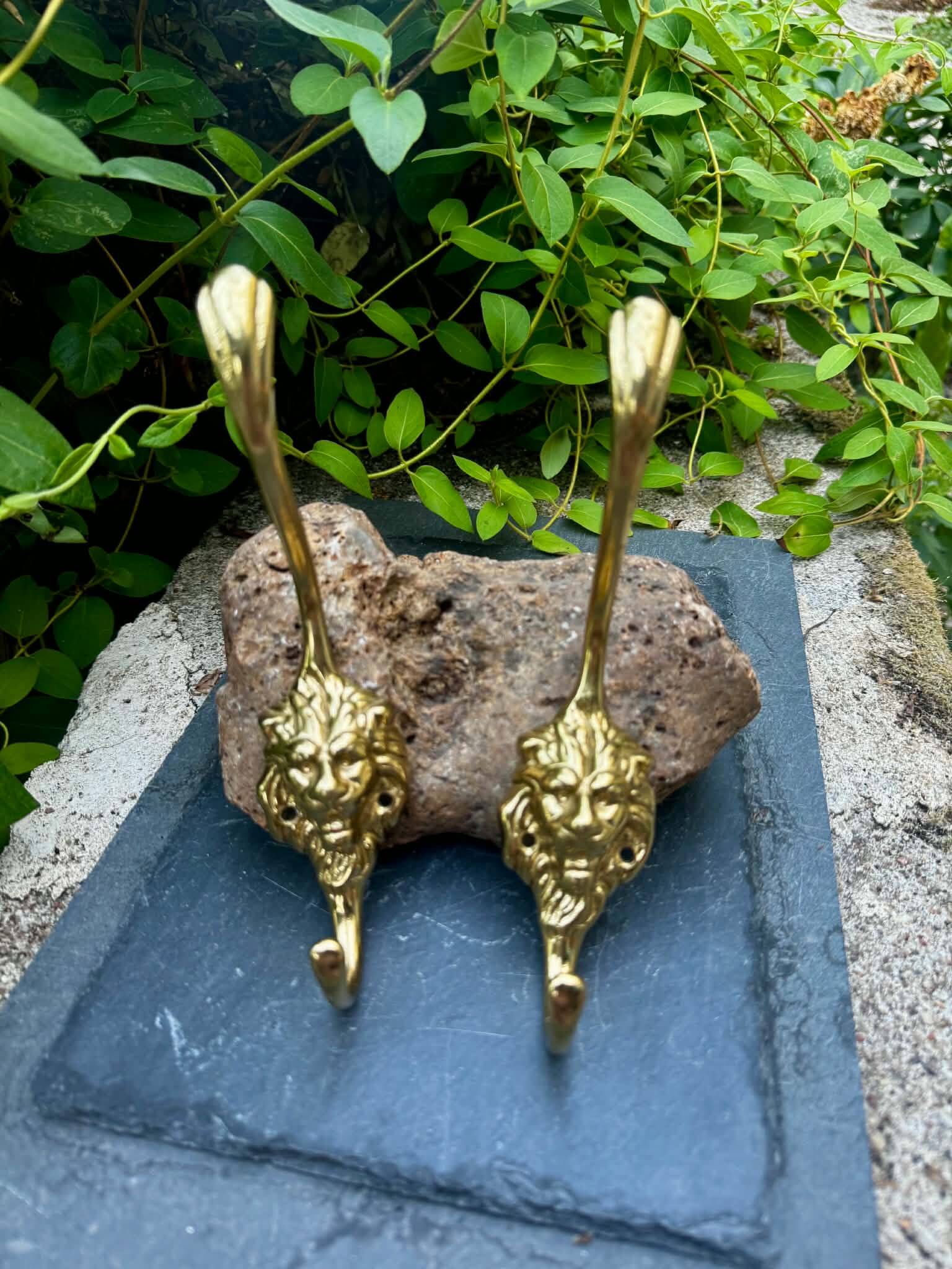 2 lion coat hooks in solid brass Art Nouveau