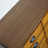 Apothecary cabinet or bank of drawers in oak and German pine mid-twentieth century