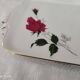 Porcelain ear cake dish Bavaria white décor roses fushia bordered gold
