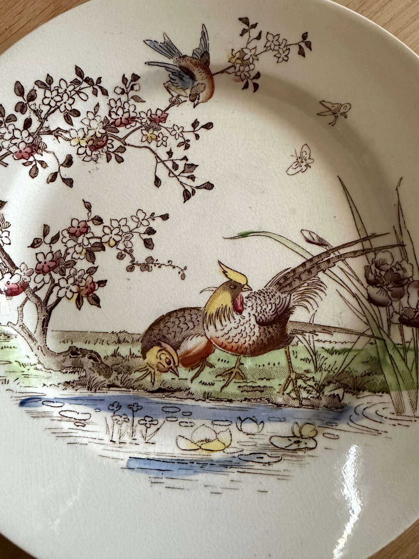 Polychrome ironstone dessert plates from Digoin and Sarreguemines.