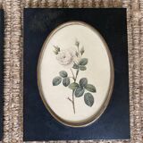 Set of three frames medallions