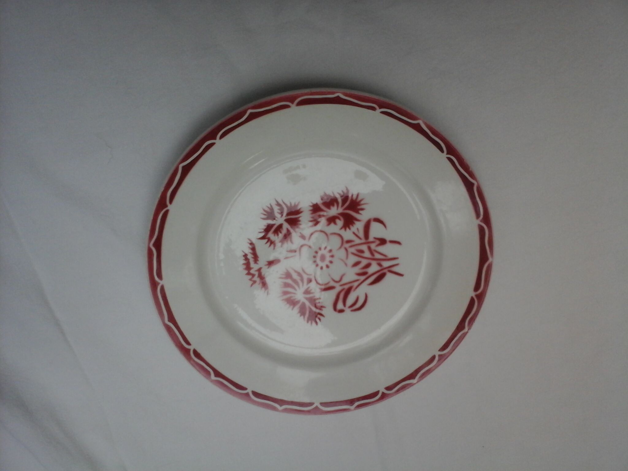 Assortment of 12 dominant plates red and green