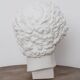 Greek head in waxed white plaster