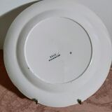 Flat plate Delph iron earth early twentieth century