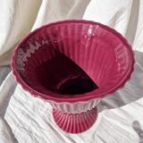 Vase rose