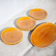 Fish service, Longchamp France porcelain service, 12 fish plates and 1 serving dish