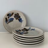 Assiettes en grès emaillé