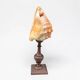 Red helmet shell conch on turned wooden base 19th century