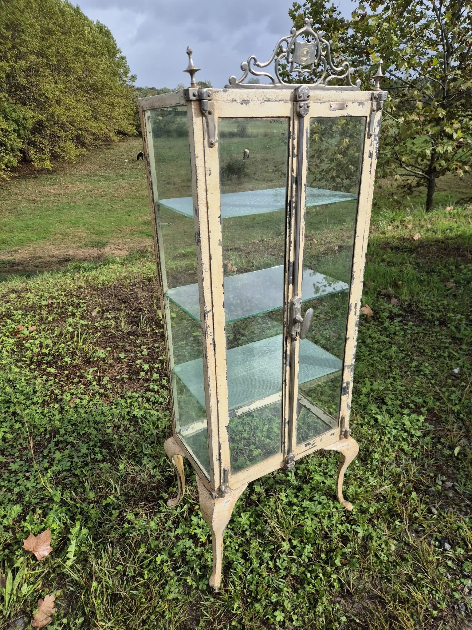 Ancienne vitrine de chirurgien