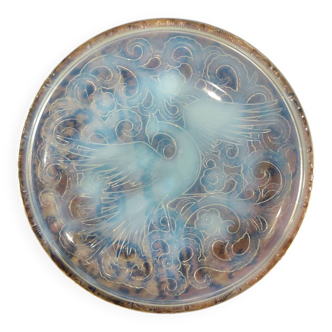 Opalescent coupe Pierre d'Avesn