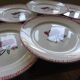 6 Badonviller 200839 dinner plates