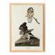 Affiche sur la Chevêchette d’Amérique, d’après une gravure ancienne de 1827