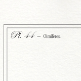 Set of 3 chimera lithography animal engraving