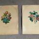 Pair of plates or botanical engravings XVIII