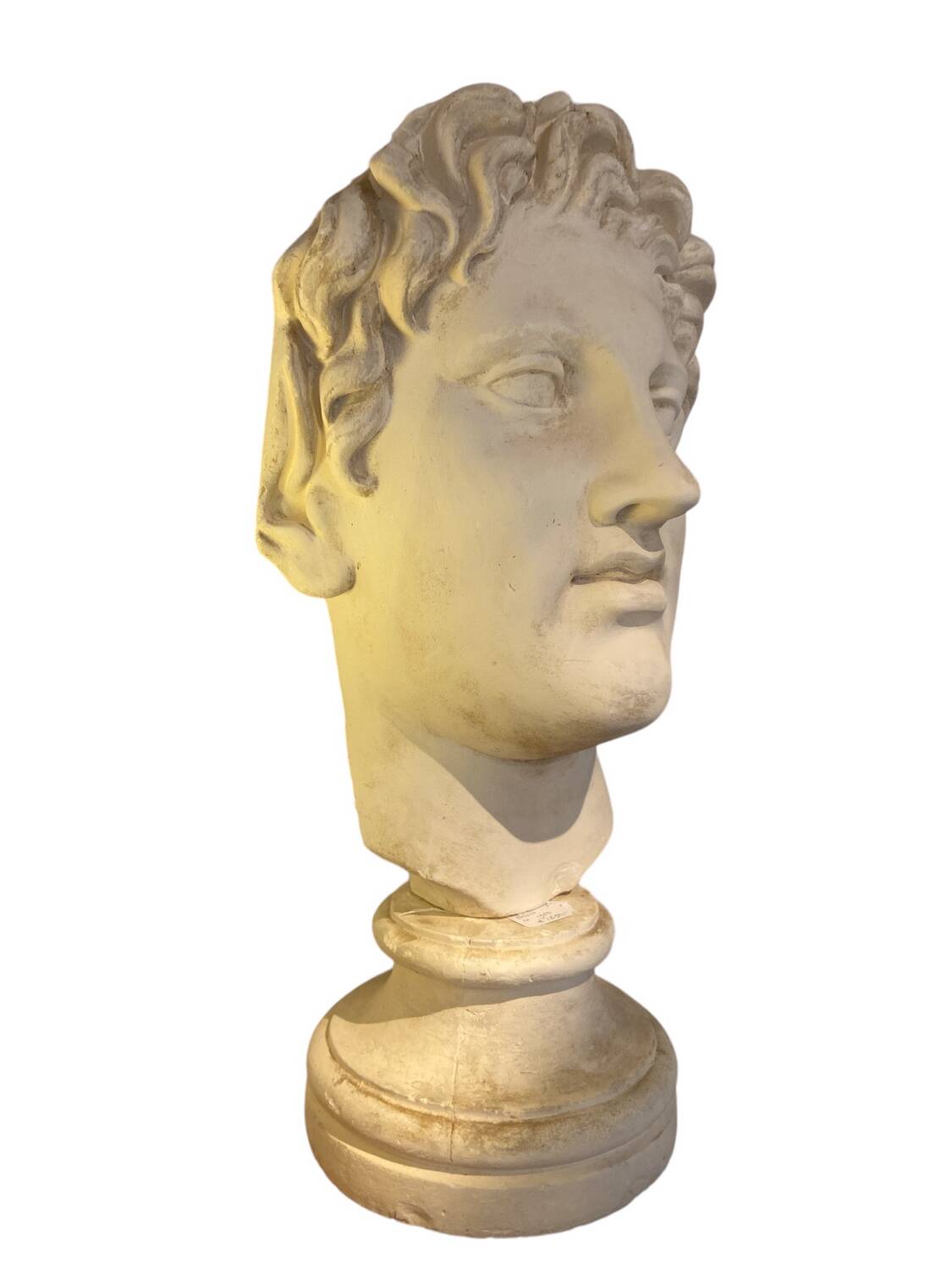 Very large Stucco head of a Roman figure