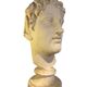 Very large Stucco head of a Roman figure