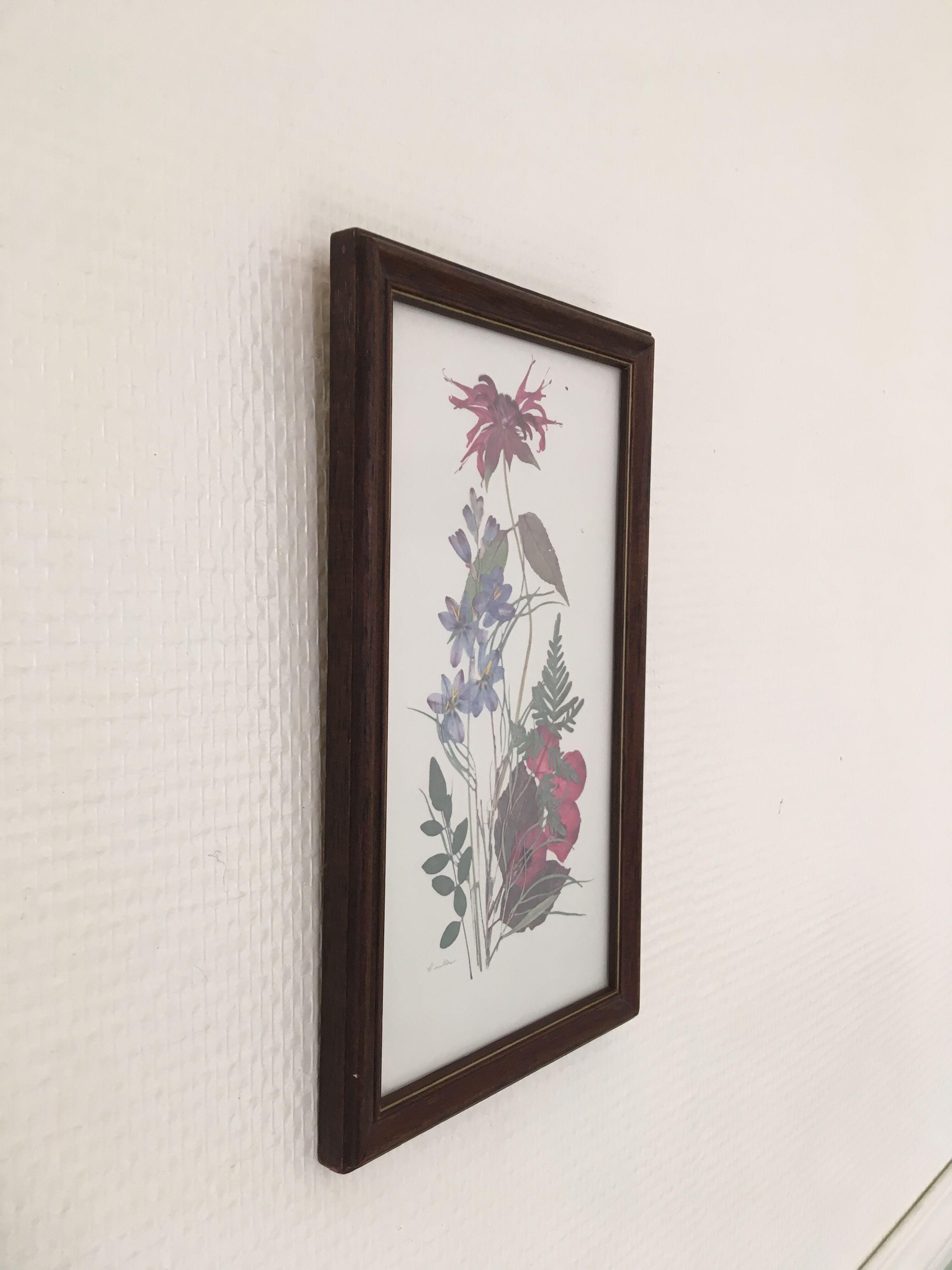 Botanical engraving of vintage flowers in its frame