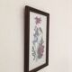 Botanical engraving of vintage flowers in its frame