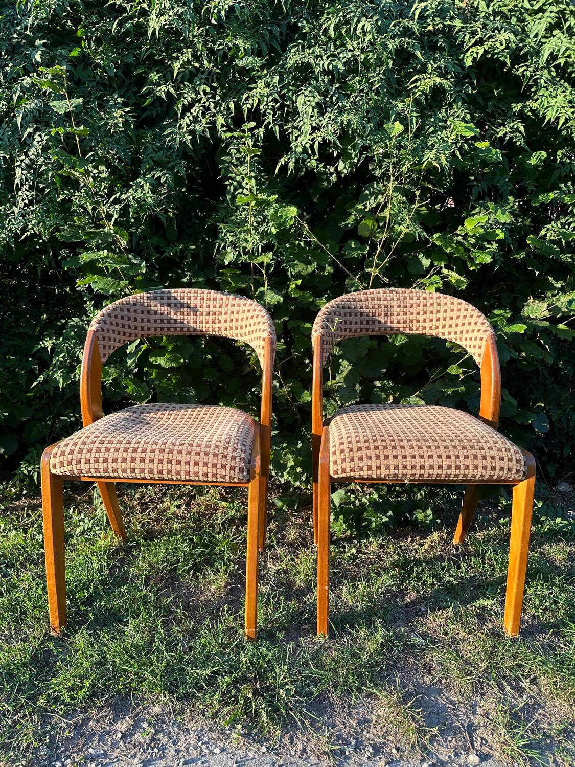 Pair of vintage designer chairs from the 50s/60s, Baumann style