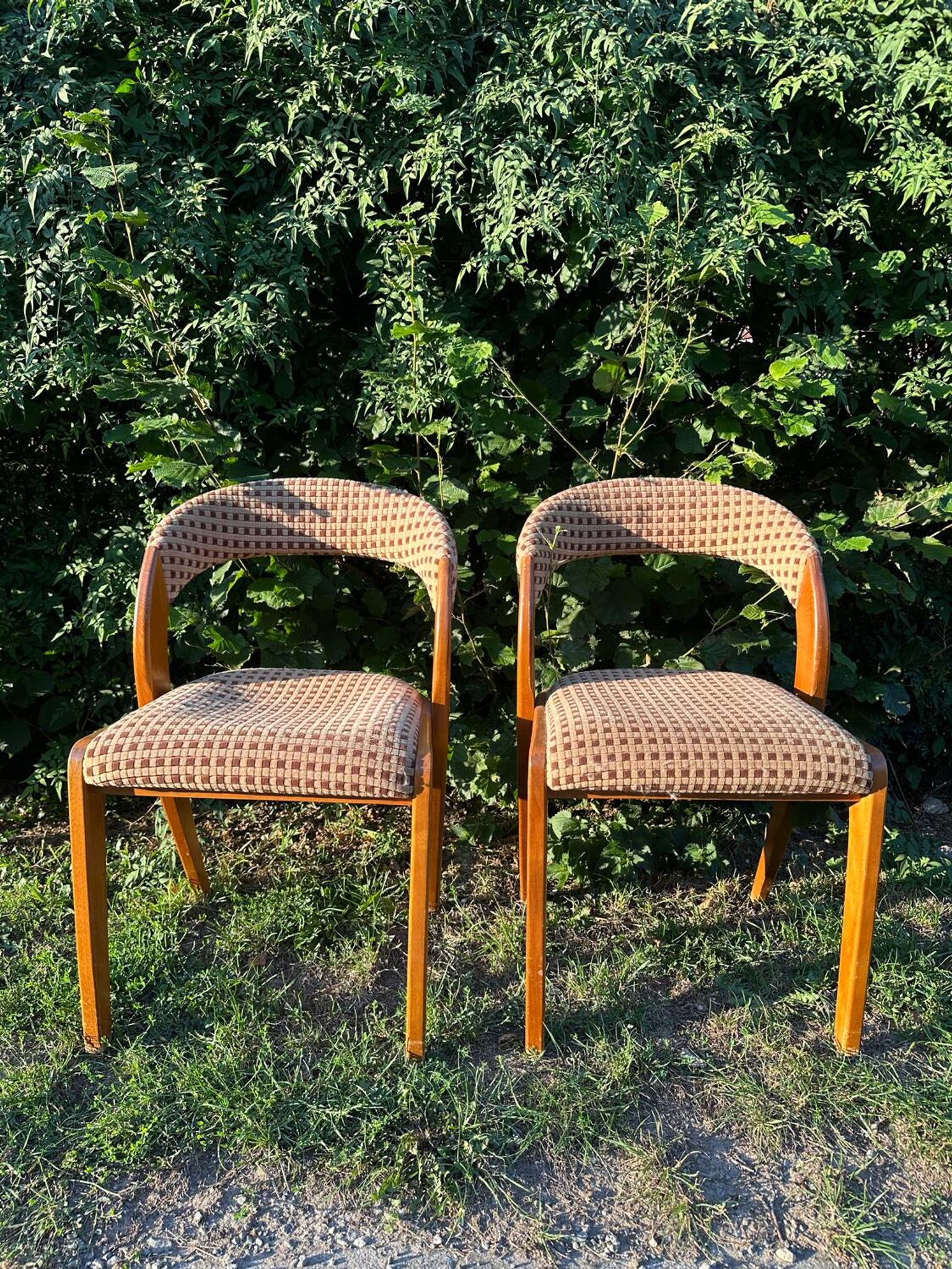 Paire de chaises vintage design années 50/60 style Baumann