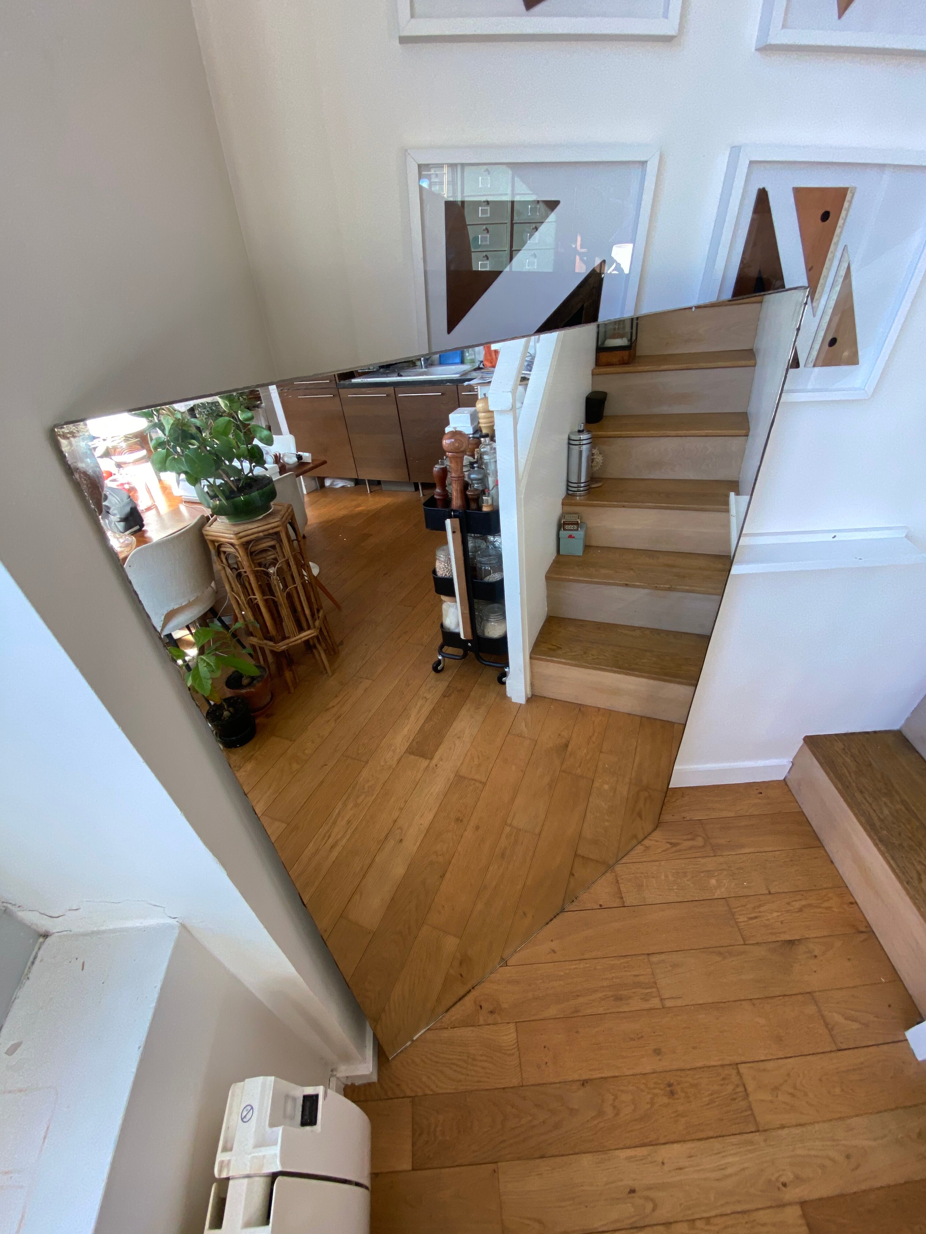 Mercury Mirror 135 x 91 cm