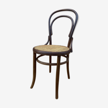 Tuna and curved wooden bistro chair