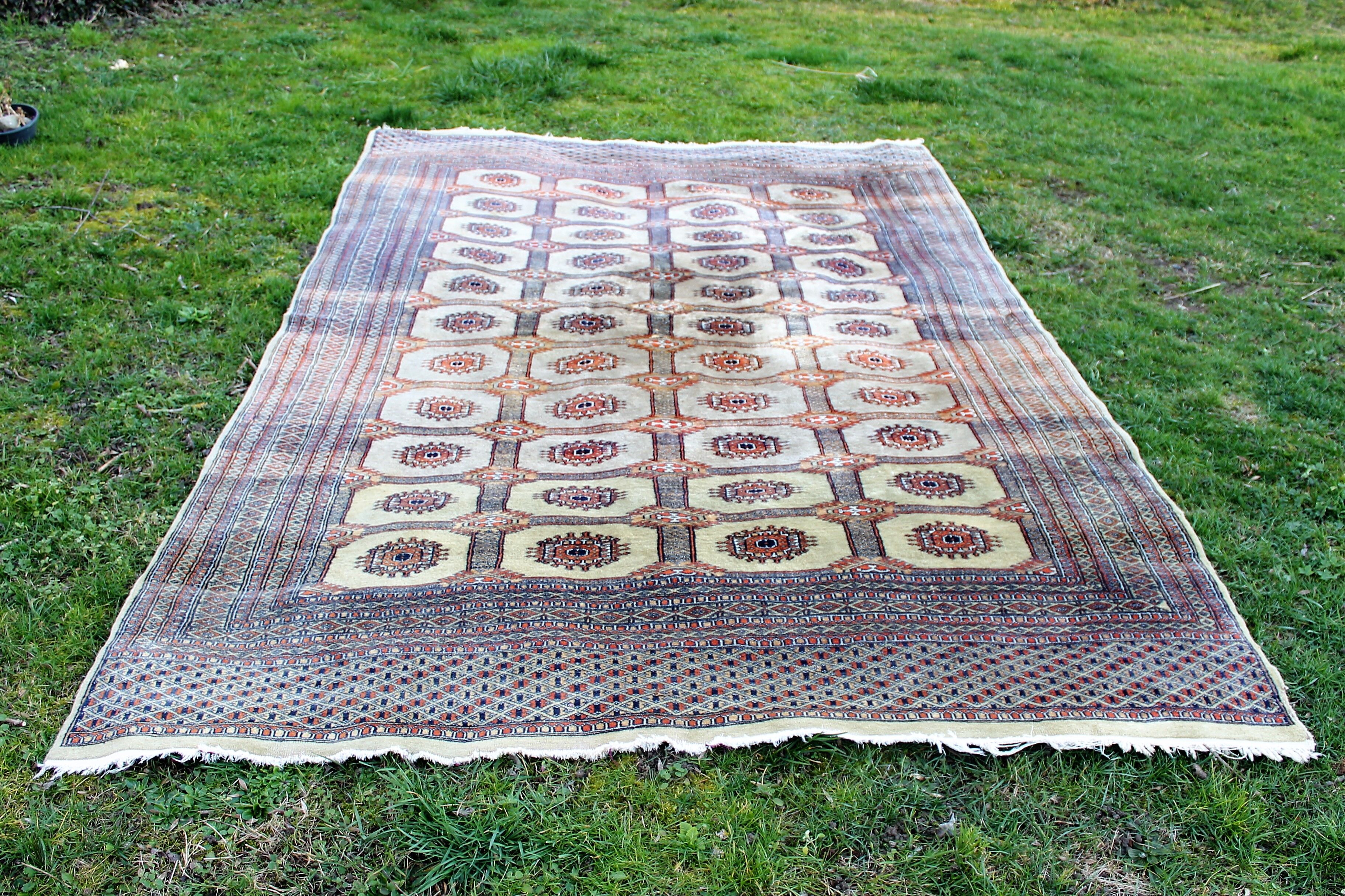 Tapis oriental 300 x 186cm