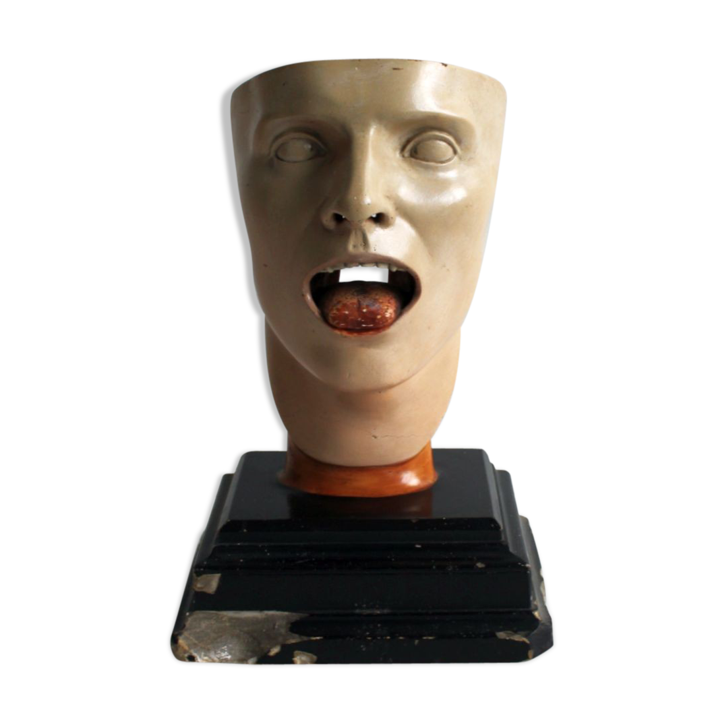 Anatomical model of human face, 30