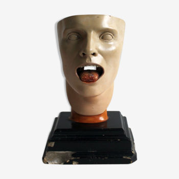 Anatomical model of human face, 30