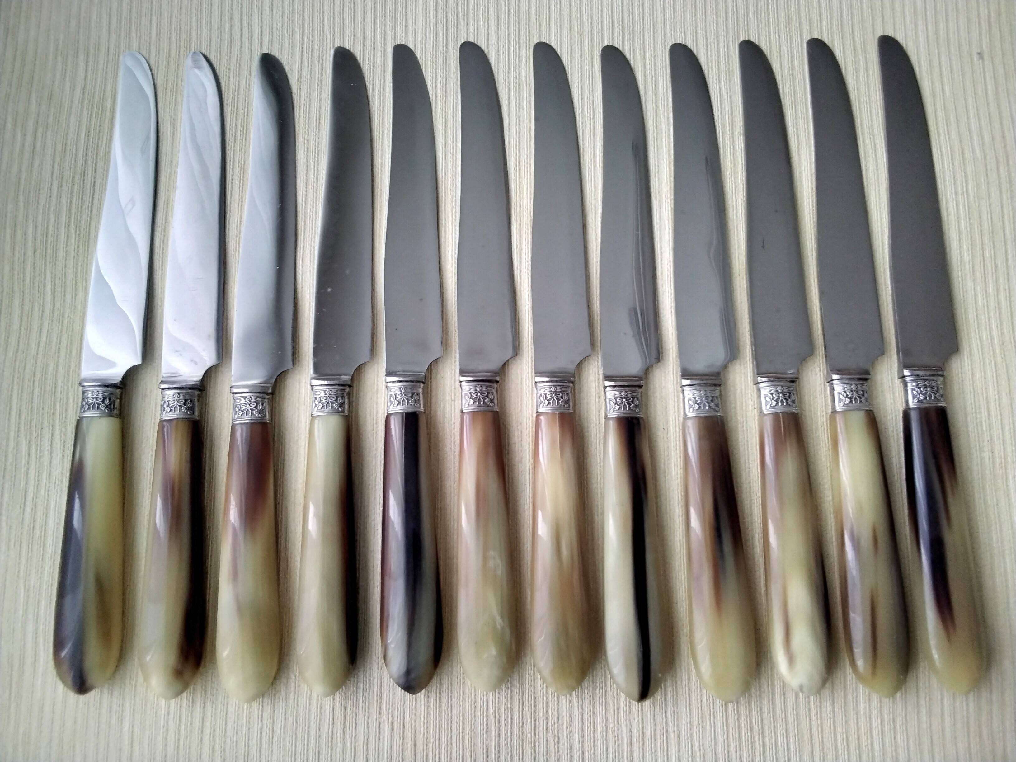 12 Apollo table knives in stainless steel and bovine horn