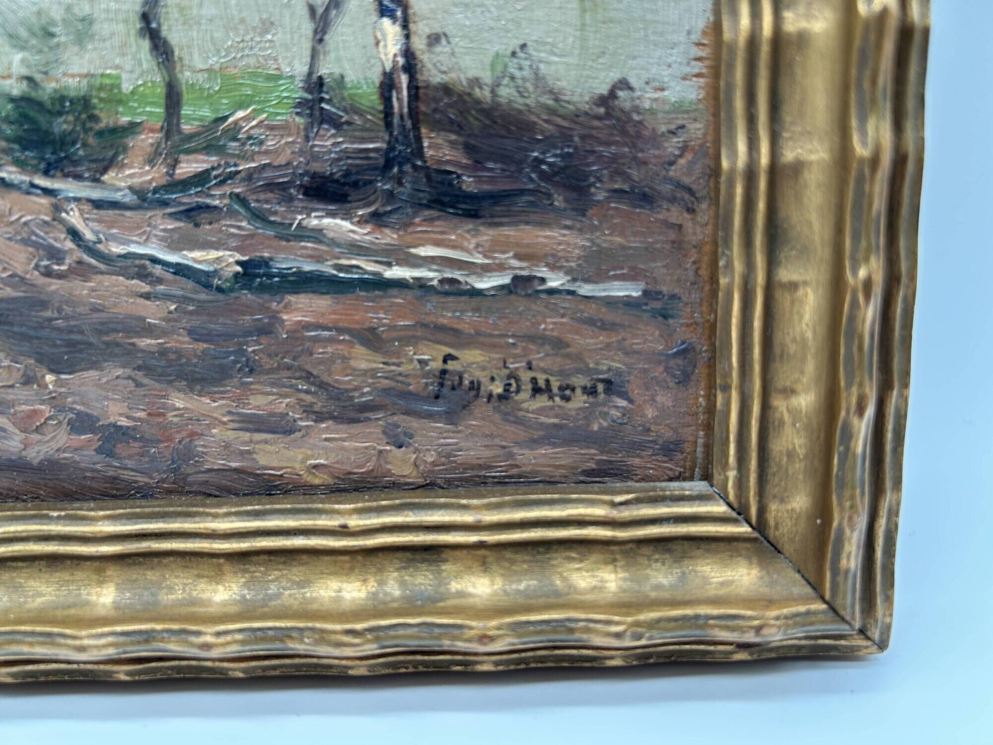 HSP of Edgard d'Hont (1861 - 1941) - an old oak