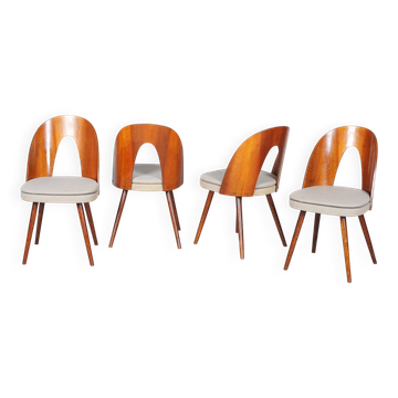 Chaises Mid-Century en noyer attribuées à Antonín Šuman, tchèque, années 1950, ensemble de 4