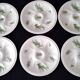 6 oyster plates in Limoges porcelain