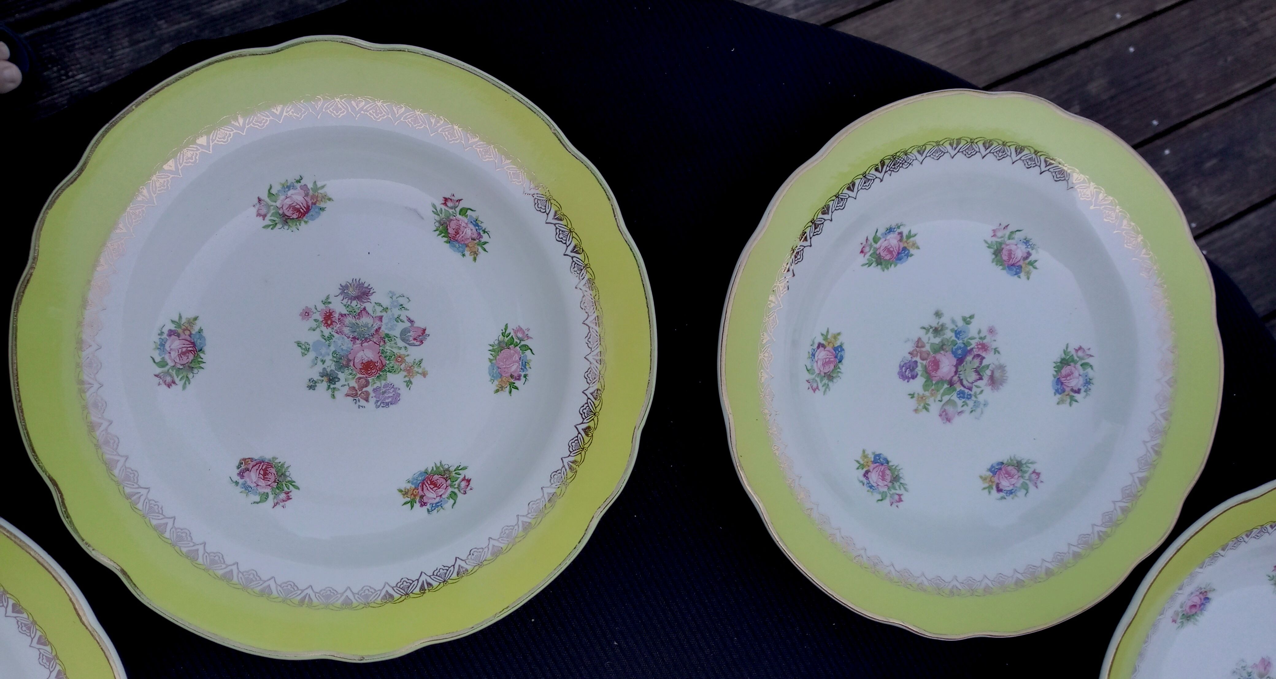 10 hollow plates model graziella sarreguemines & digoin