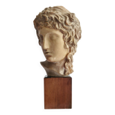 Large Hollow-cast Head of Apollo, c. 1890, on Wooden Base