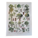Old botanical plate "Trees" – naturalistic illustration