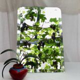 Old beveled mirror with lead or mercury stitched dimension: height -72.5cm- width -48.5cm-