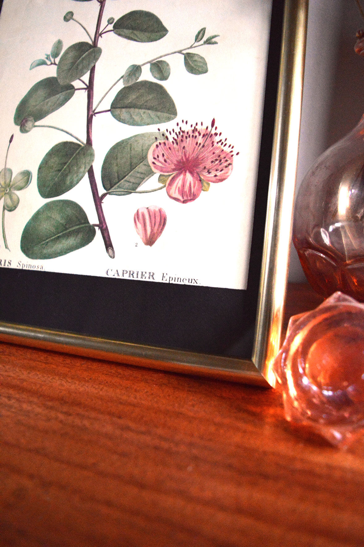 Affiche pharmaceutique encadrée