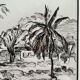 Ink drawing, The leeward coast, Jeannine Hervé