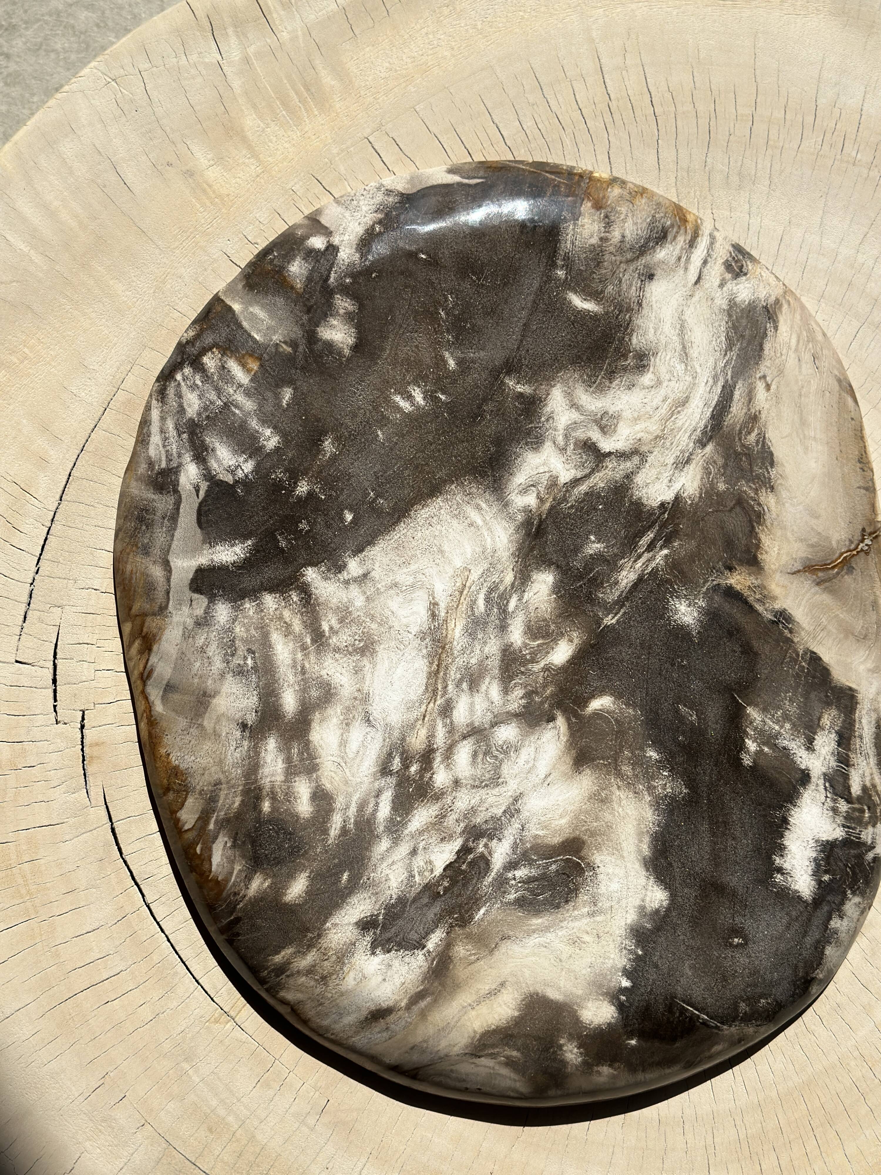 Very large pocket or dish in petrified wood