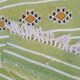 Traditional handmade green corridor carpet 65x200cm