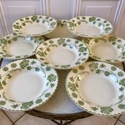 set of 8 hollow plates in Digoin Sarreguemines Iron Earth model "Geranium" green late 19th century