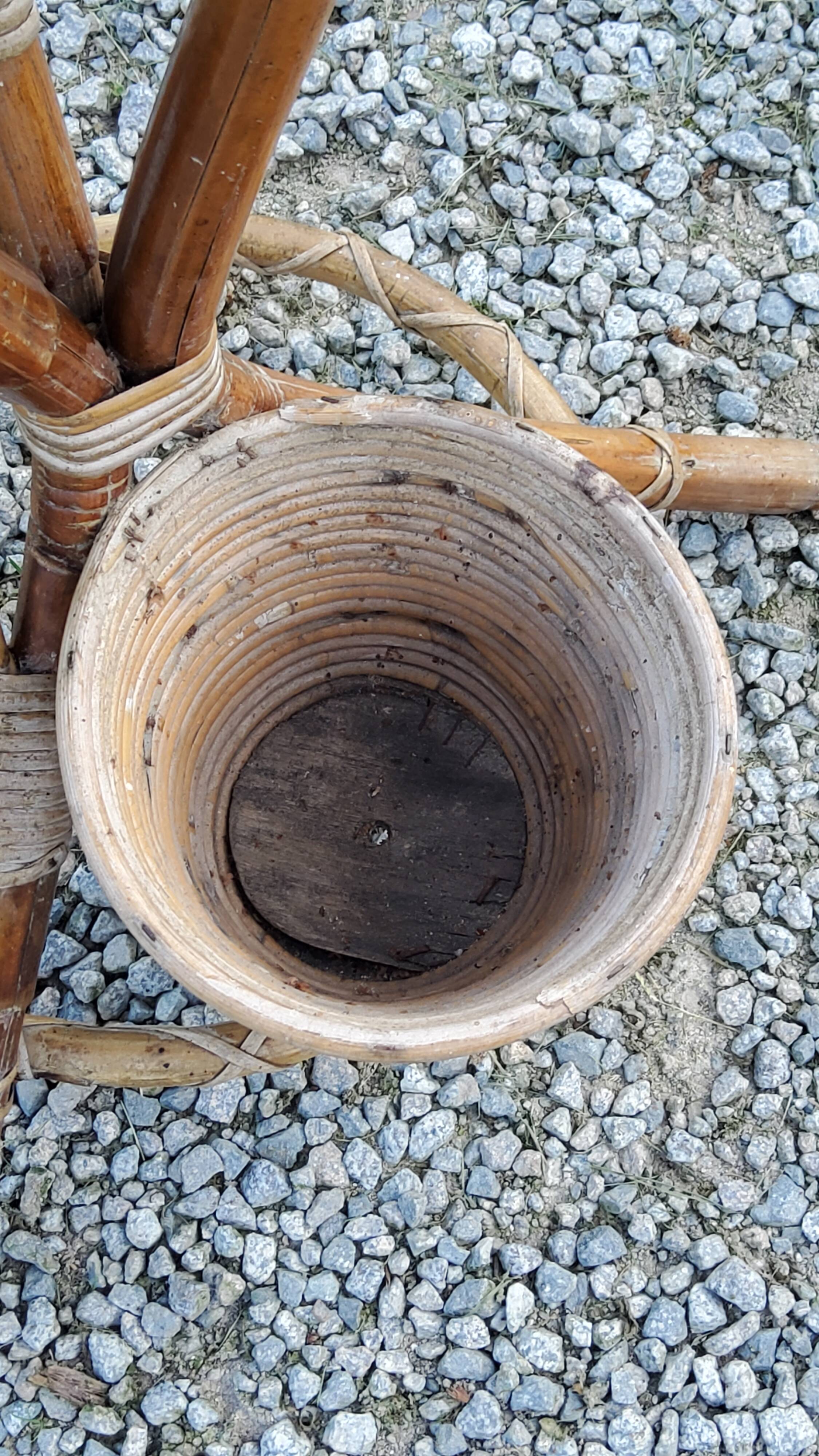 Rattan and bamboo plant holder from the 50s