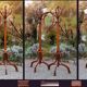 Thonet parrot coat rack in cloakroom 1900 ca