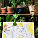 Illustration monstera jaune